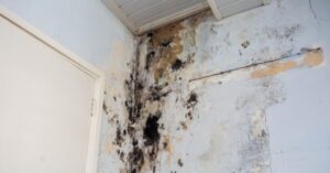 Water Restoration and Insurance: How to Handle Claims Effectively - Water Damage Pros TN