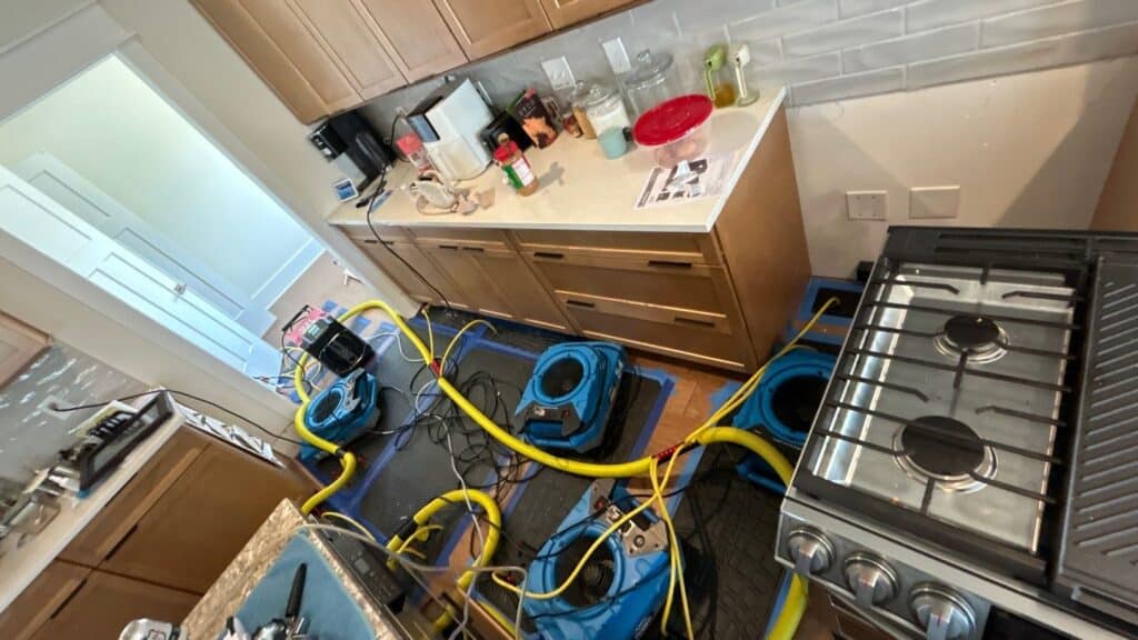 Jacob Garzon - Water Damage - Water Damage Pros Nashville TN