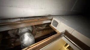 Todd Payne - Water Damage - Water Damage Pros Nashville TN
