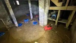 How Water Damage Affects Different Building Materials: Wood vs Drywall vs Concrete