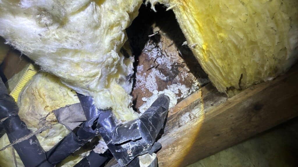 Pamela Garris - Water Bid - Water Damage Pros Nashville TN