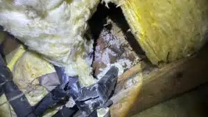 Top 10 Myths About Water Damage Restoration (And the Truth Nashville Homeowners Should Know Top 10 Myths About Water Damage Restoration (And the Truth Nashville Homeowners Should Know
